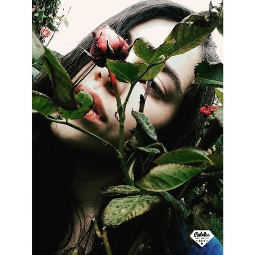 YouPic profile picture for @amalia