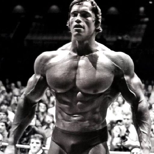 YouPic profile picture for @bodybuilding
