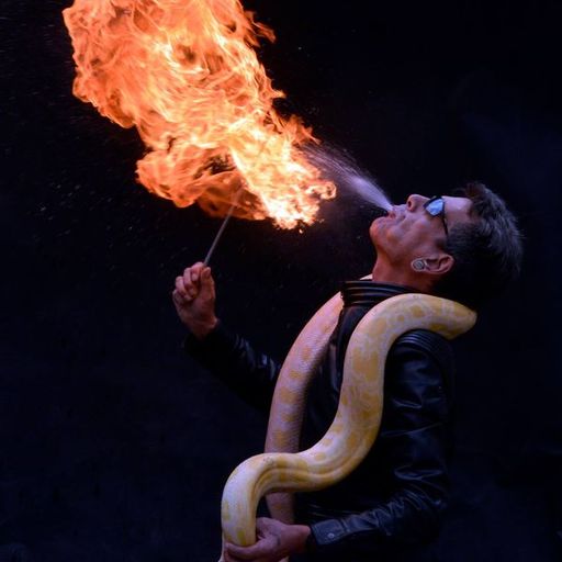 YouPic profile picture for @snakes