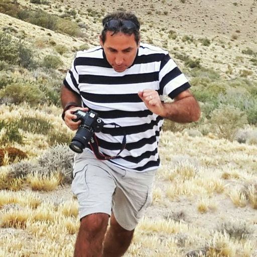 YouPic profile picture for @patagonia