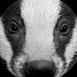 YouPic profile picture for @badger