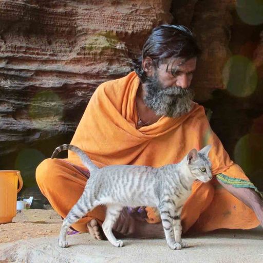 YouPic profile picture for @swami